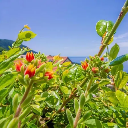 La Terrazza Sul Paradiso Ruta Di Camogli